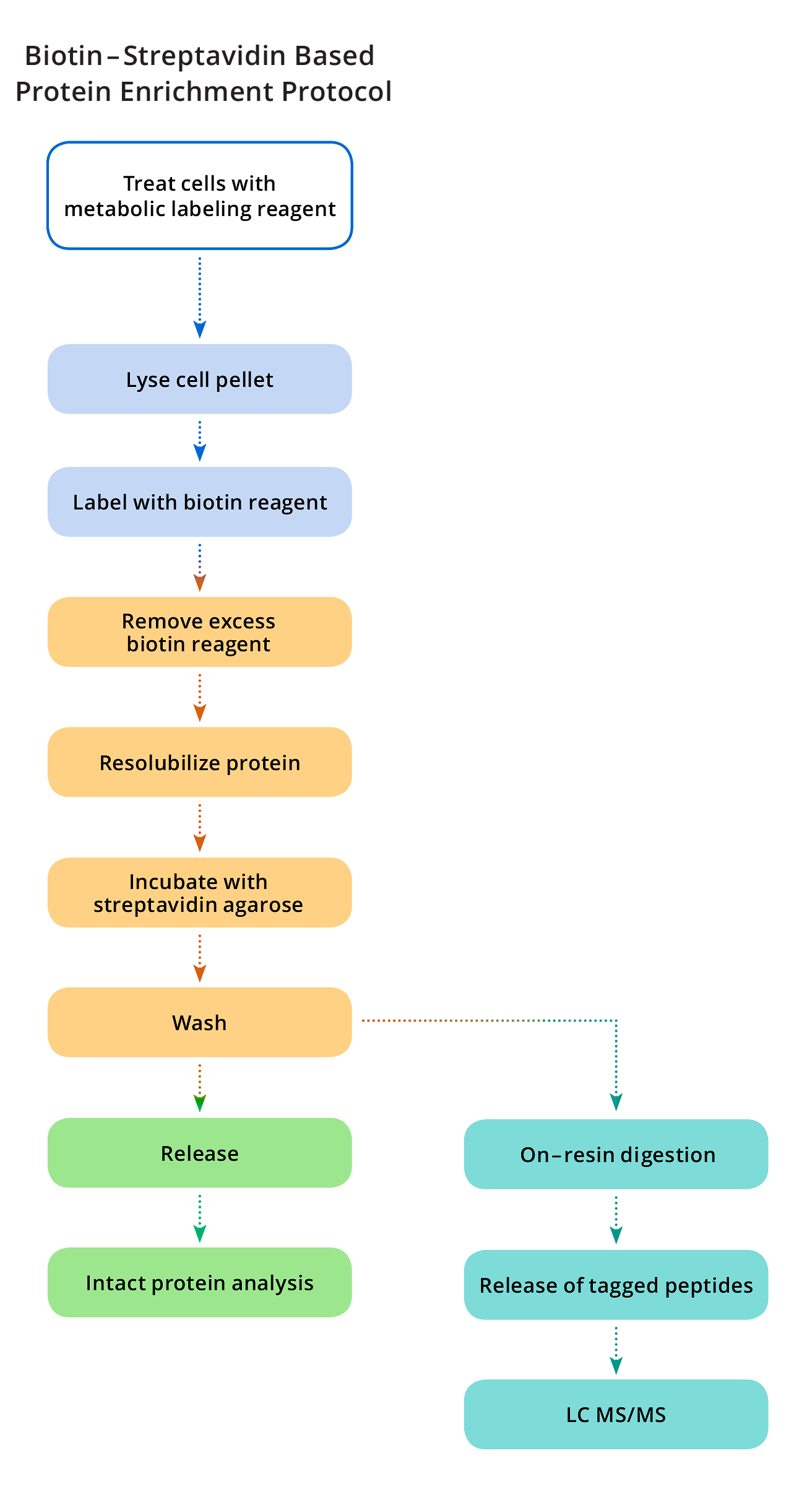 Biotinylation_reagents_1442