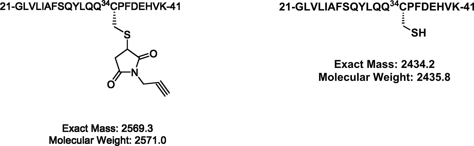 1536-MS-Structure